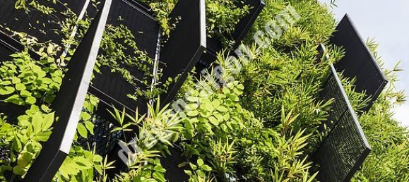 46m² Apartment in District 3, Vietnam No. 10647 2