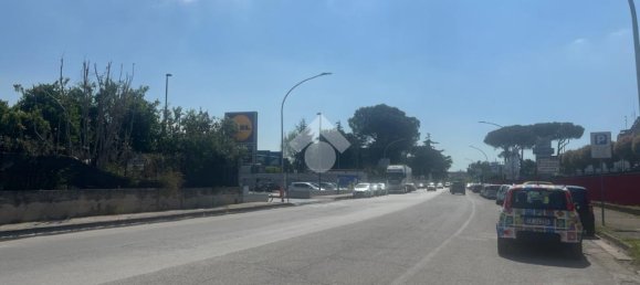 1-Zimmer Grundstück in Casandrino, Italy, Nr. 377676 5