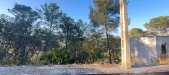  قطعة أرض في Olivella, Spain رقم 179164 8