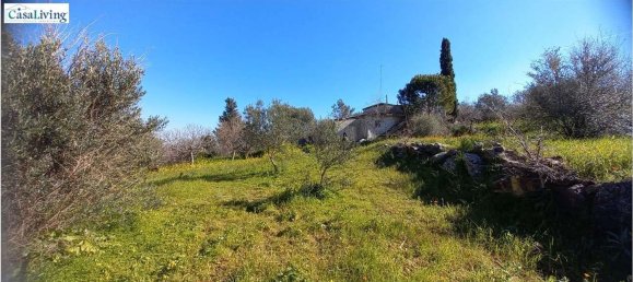 Estudio en Monreale, Italy No. 47036 7