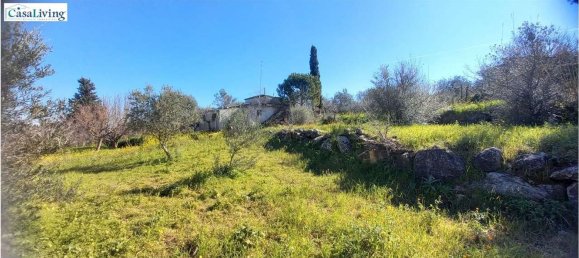 Estudio en Monreale, Italy No. 47036 6