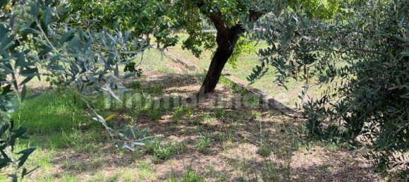 5-Zimmer Gebäude in Rome, Italy, Nr. 177233 30