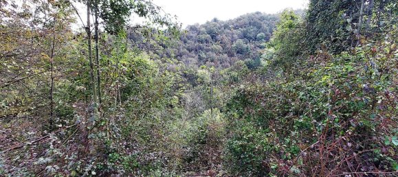 2 rooms House in Treviso Bresciano, Italy No. 145302 10