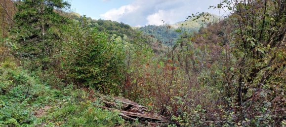 2 rooms House in Treviso Bresciano, Italy No. 145302 9