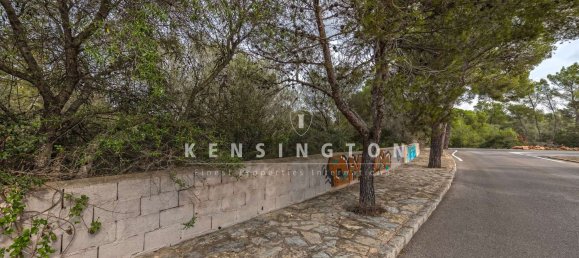  Land in Llucmajor, Spain No. 190291 3