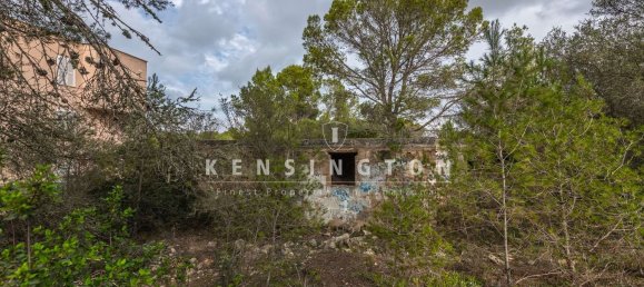  Land in Llucmajor, Spain No. 190291 4