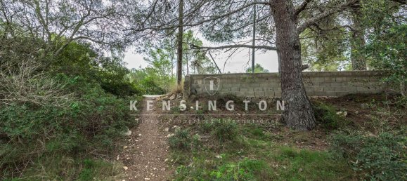  Land in Llucmajor, Spain No. 190291 5