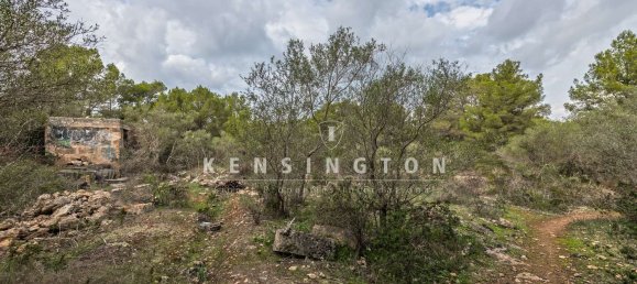  Land in Llucmajor, Spain No. 190291 9