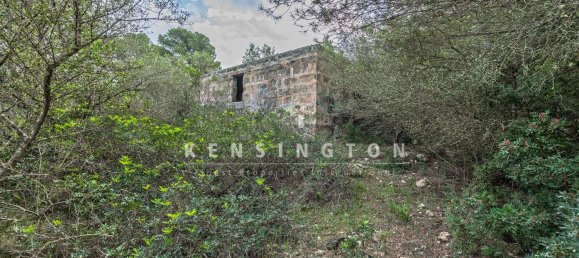  Land in Llucmajor, Spain No. 190291 6