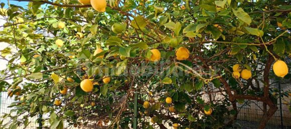 Oficina de 2 habitaciónes en Melpignano, Italy No. 43373 12