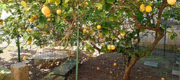 Oficina de 2 habitaciónes en Melpignano, Italy No. 43373 11