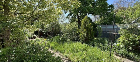 4 rooms Townhouse in Gumpoldskirchen, Austria No. 189281 8