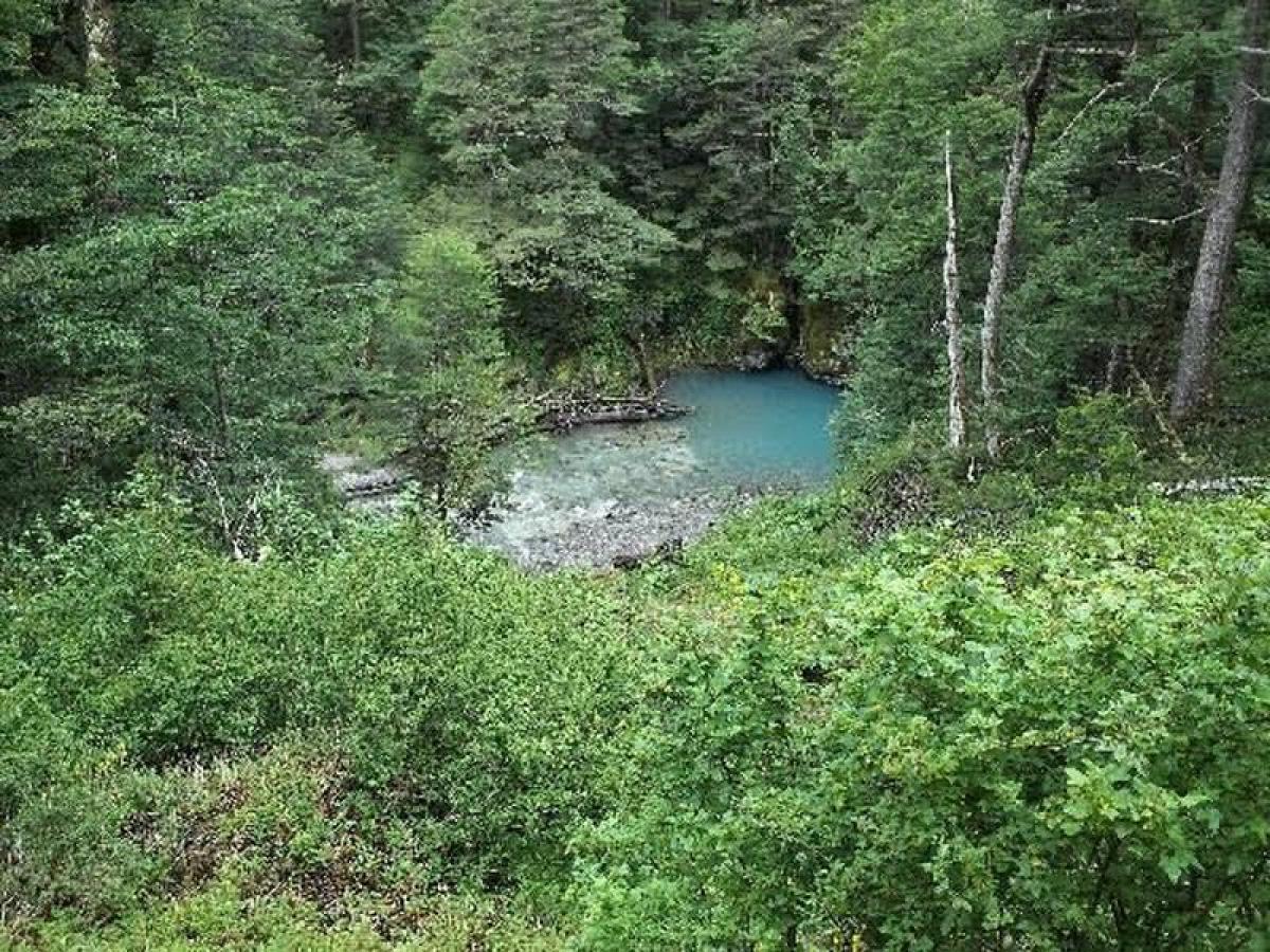  Land in Aysen, Chile No. 1129