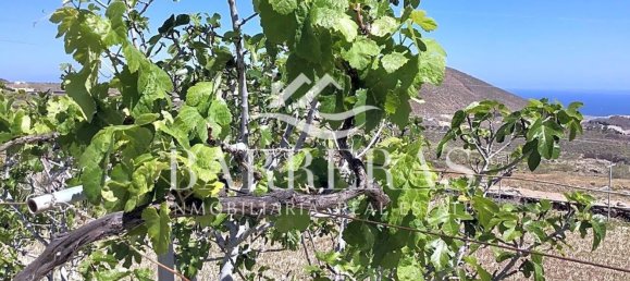 4 bedrooms House in San Miguel de Abona, Spain No. 129979 77