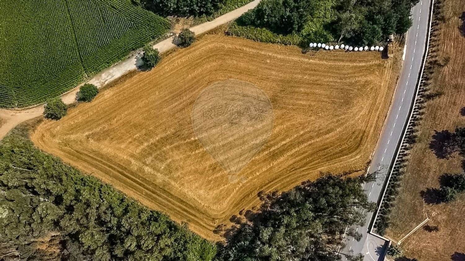 Земельный участок в Paradela, Португалия № 246696