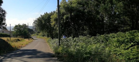  قطعة أرض في Santa Catarina, Portugal رقم 189981 2