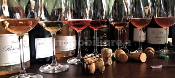 3-Zimmer Gewerbliche Immobilie in Cerea, Italy, Nr. 293460 4