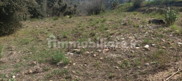 Terrain à Cefalù, Italy 2900m² No. 290715 23