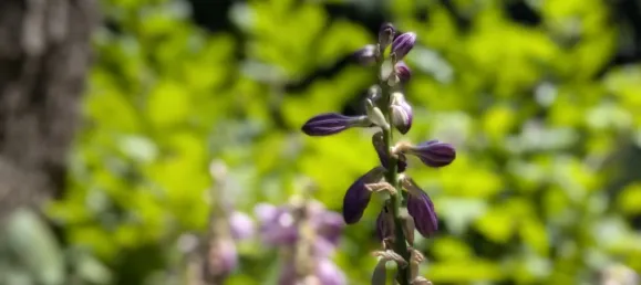 4غرفة شقة في Favoriten, Austria رقم 204526 13