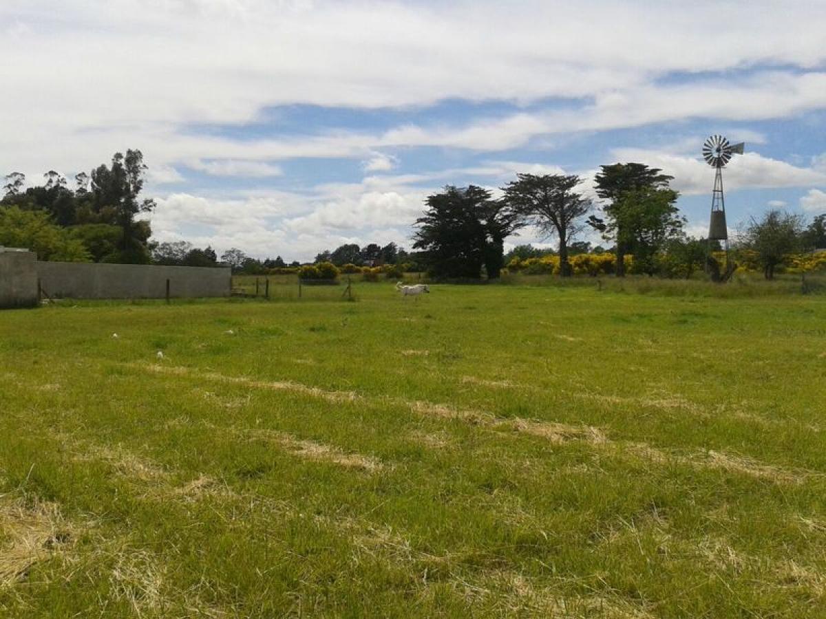 Земельный участок в Буэнос-Айрес, Аргентина № 120652