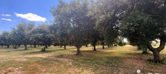 5 Schlafzimmer Haus in Noyant-de-Touraine, France, Nr. 301595 4