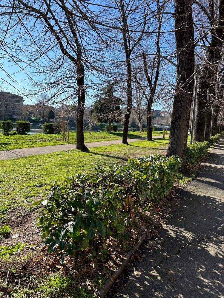 3 bedrooms Duplex in Florence, Italy No. 318298