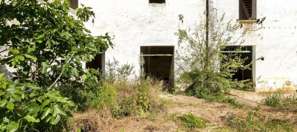 2145m² Warehouse in Reguengos de Monsaraz, Portugal No. 145710 18