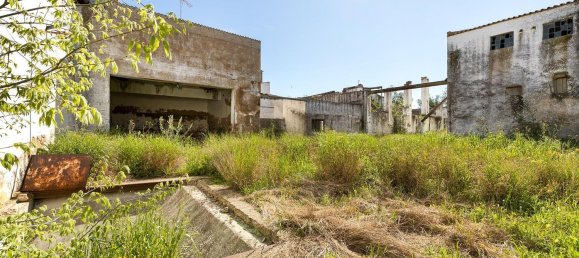 2145m² Warehouse in Reguengos de Monsaraz, Portugal No. 145710 16