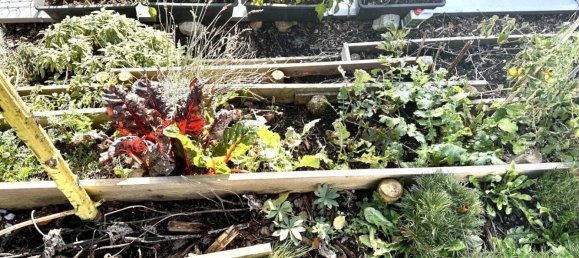 4غرفة تاون هاوس في Sieghartskirchen, Austria رقم 235608 18