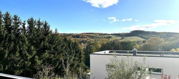 4غرفة تاون هاوس في Sieghartskirchen, Austria رقم 235608 13