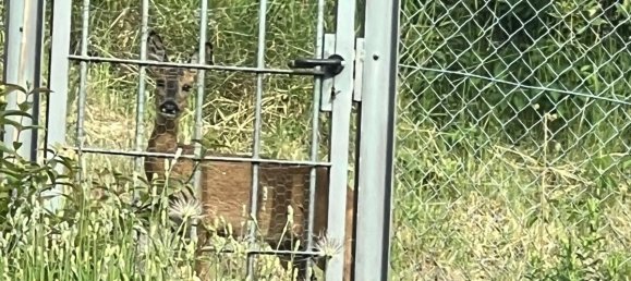 5 chambres Maison à Hesse, Germany No. 345249 19