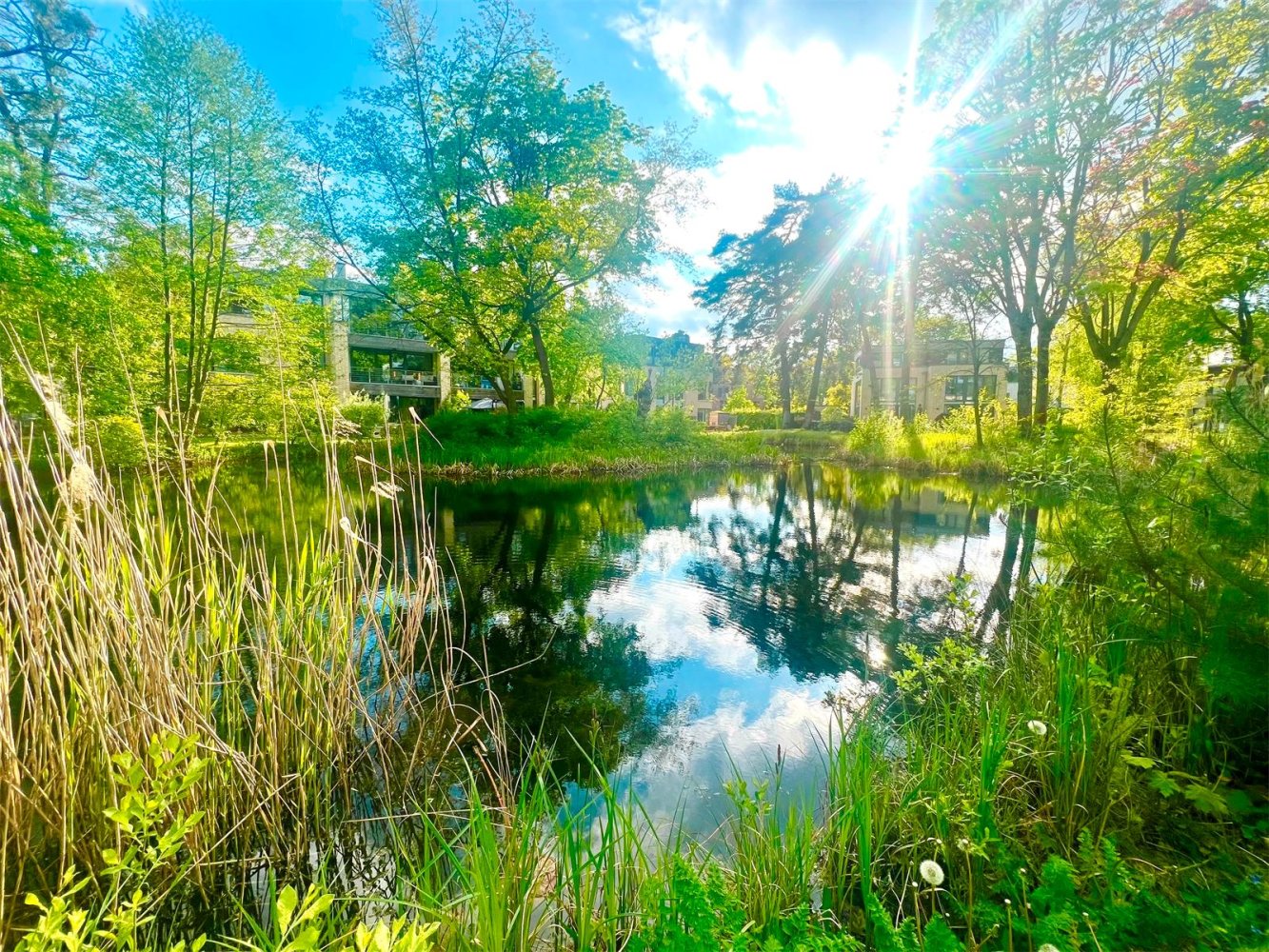 Вилла с 7 комнатами в Ванзе, Германия № 75763