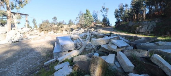 Terrain à Penacova, Portugal 32250m² No. 44786 19