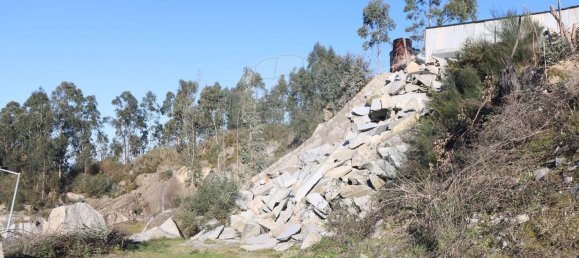 Terrain à Penacova, Portugal 32250m² No. 44786 21