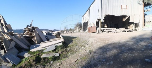 Terrain à Penacova, Portugal 32250m² No. 44786 20