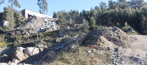 Terrain à Penacova, Portugal 32250m² No. 44786 32