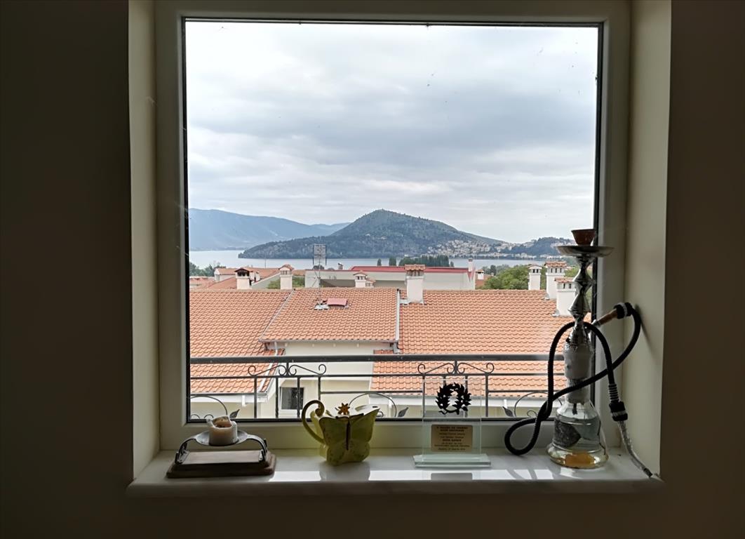 5 Schlafzimmer Gewerbliche Immobilie in Kastoria, Greece, Nr. 5280