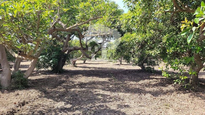  قطعة أرض في Torrenueva Costa, Spain 22432متر مربع رقم 234515