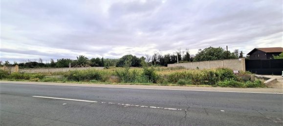 Terrain à Chartered Community of Navarre, Spain 2203m² No. 118429 6