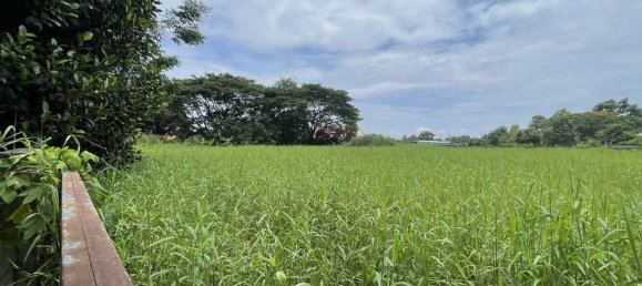  Land in Chiang Mai, Thailand No. 26977 2