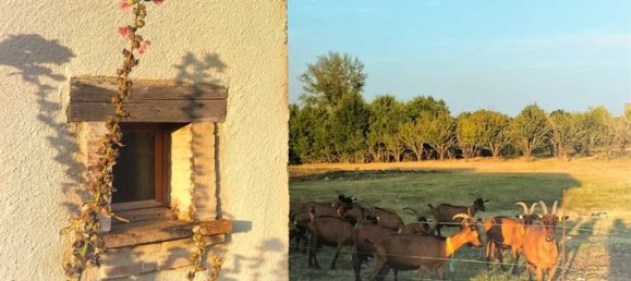 Grundstück in Mirabel, France 50000m², Nr. 305413 6