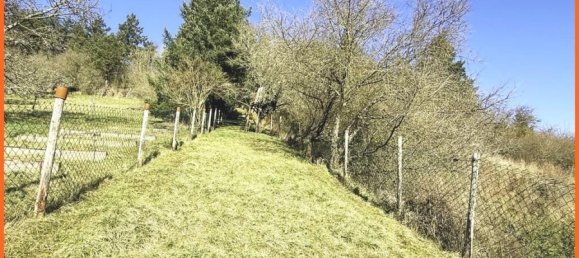 4 rooms House in Bad Kreuznach, Germany No. 358918 12