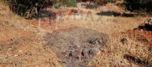 Земельный участок 4100м² в Лоле, Португалия № 38985 2