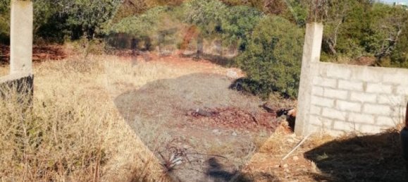 Земельный участок 4100м² в Лоле, Португалия № 38985 5