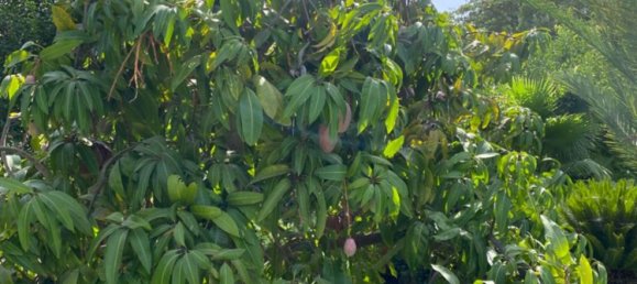 Casa T4 em Marbella, Spain N.º 29095 21