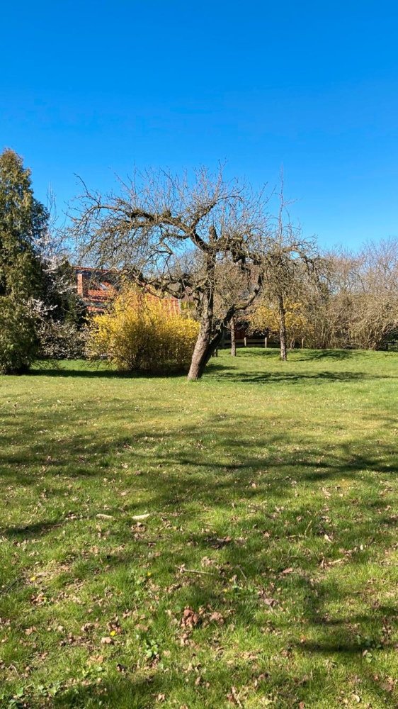 Terreno en Stade, Germany No. 258202