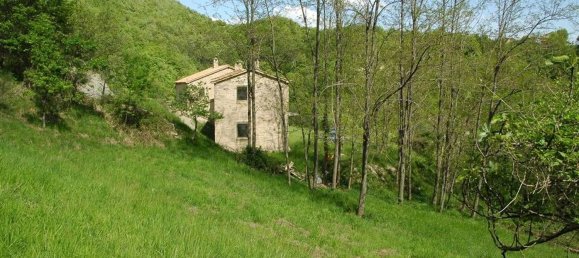 4000m² Commercial property in Sant'Agata Feltria, Italy No. 164113 3