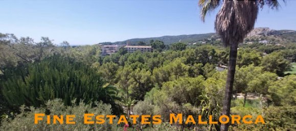 6 bedrooms House in Palma de Majorca, Spain No. 139175 2