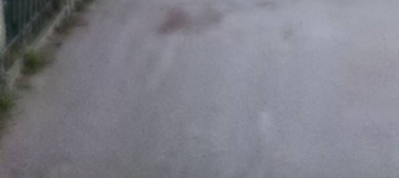 2غرفة شقة في Ravenna, Italy رقم 302733 7