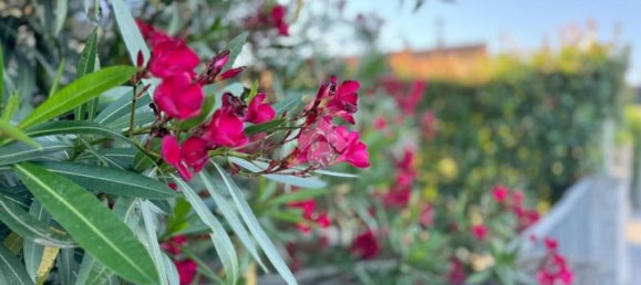 4-salle Appartement à Ponsacco, Italy No. 143974 6